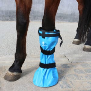 Horse in a Hoof Soak Boot