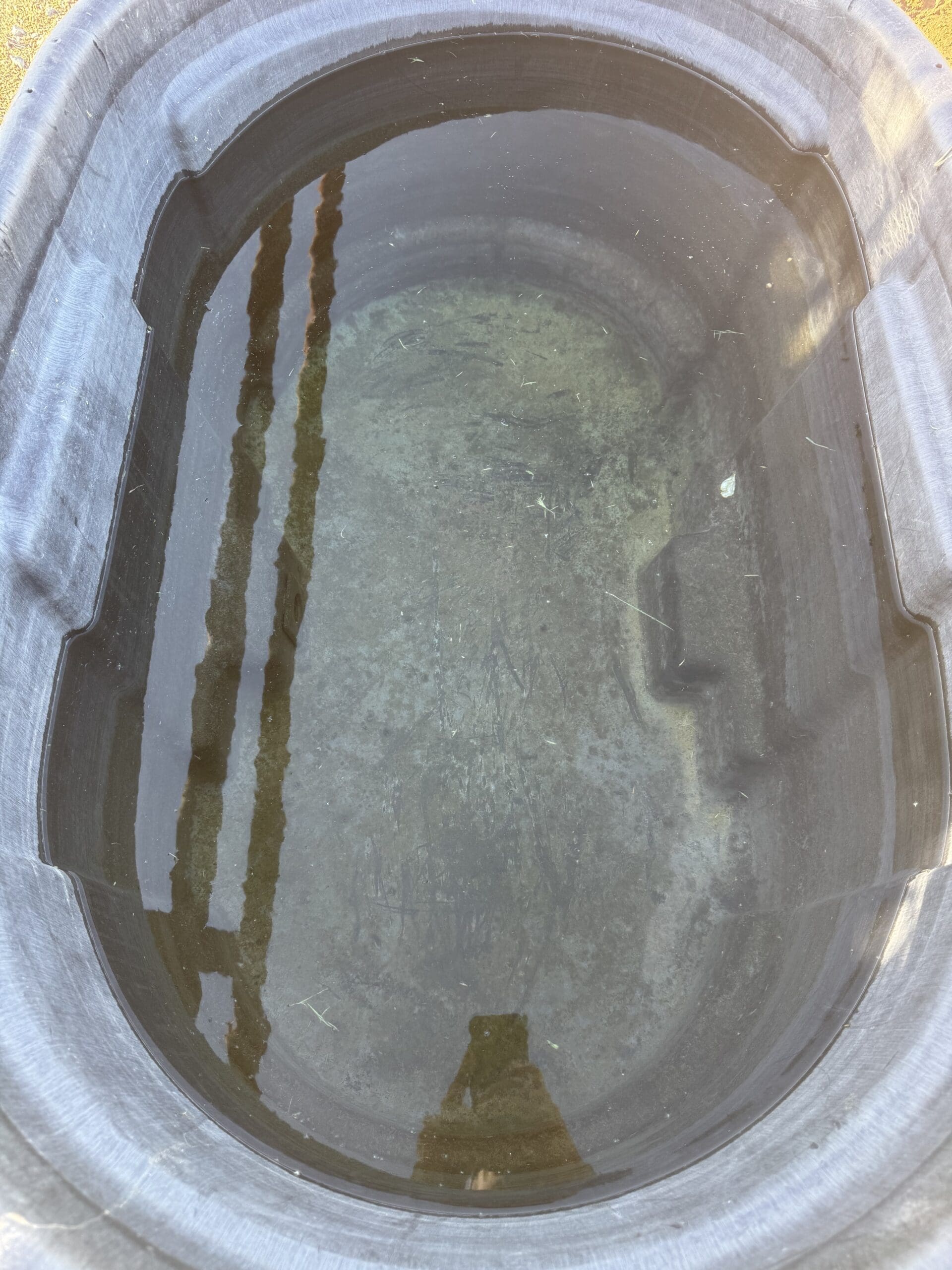 {{brizy_dc_image_alt entityId=