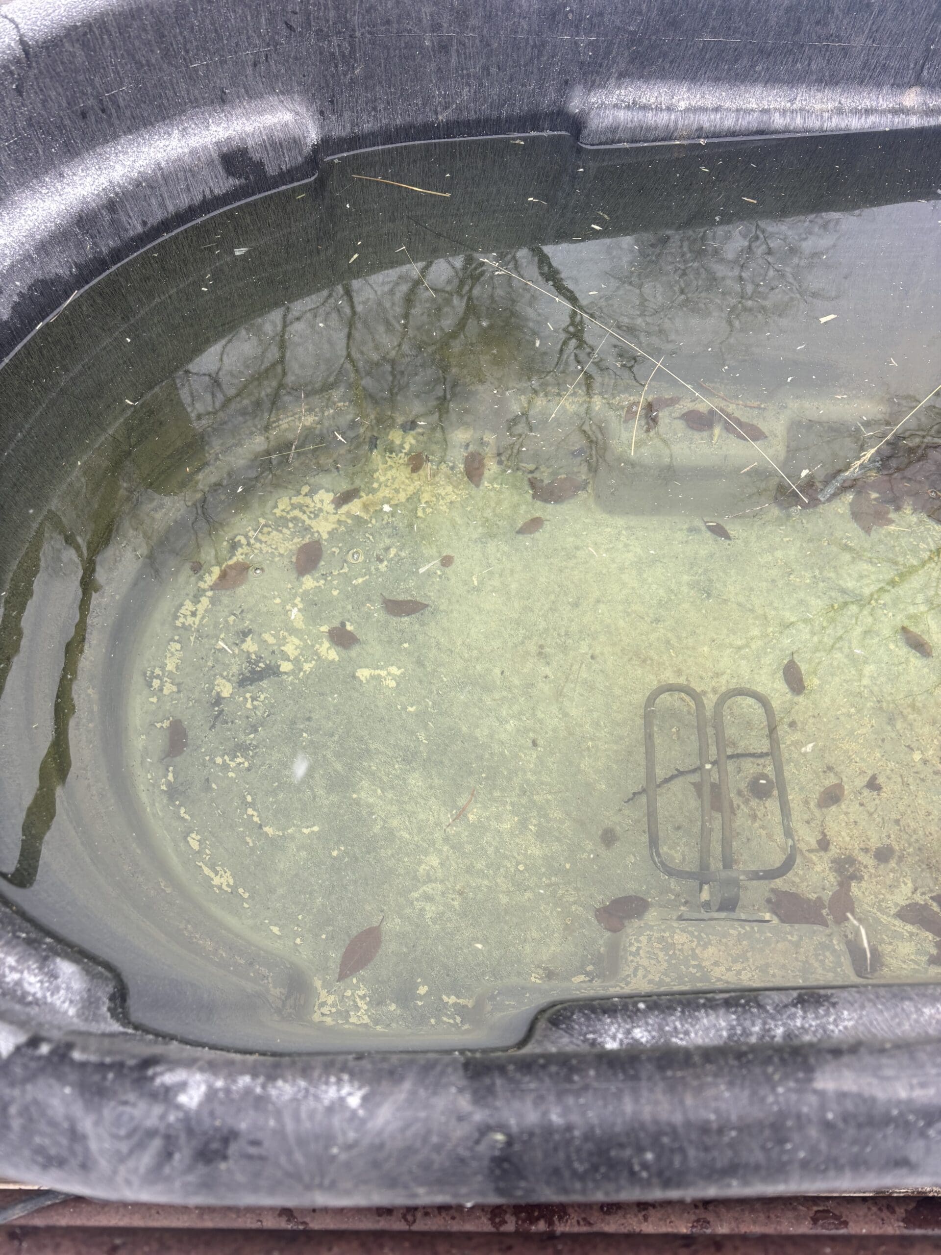 {{brizy_dc_image_alt entityId=