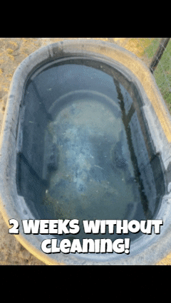 {{brizy_dc_image_alt entityId=