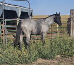 After 4 Weeks on Klean Water