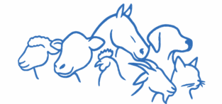 Animals_blue outline_png