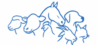 Animals_blue outline_png