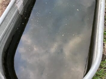 Klean Water Tank {{brizy_dc_image_alt entityId=